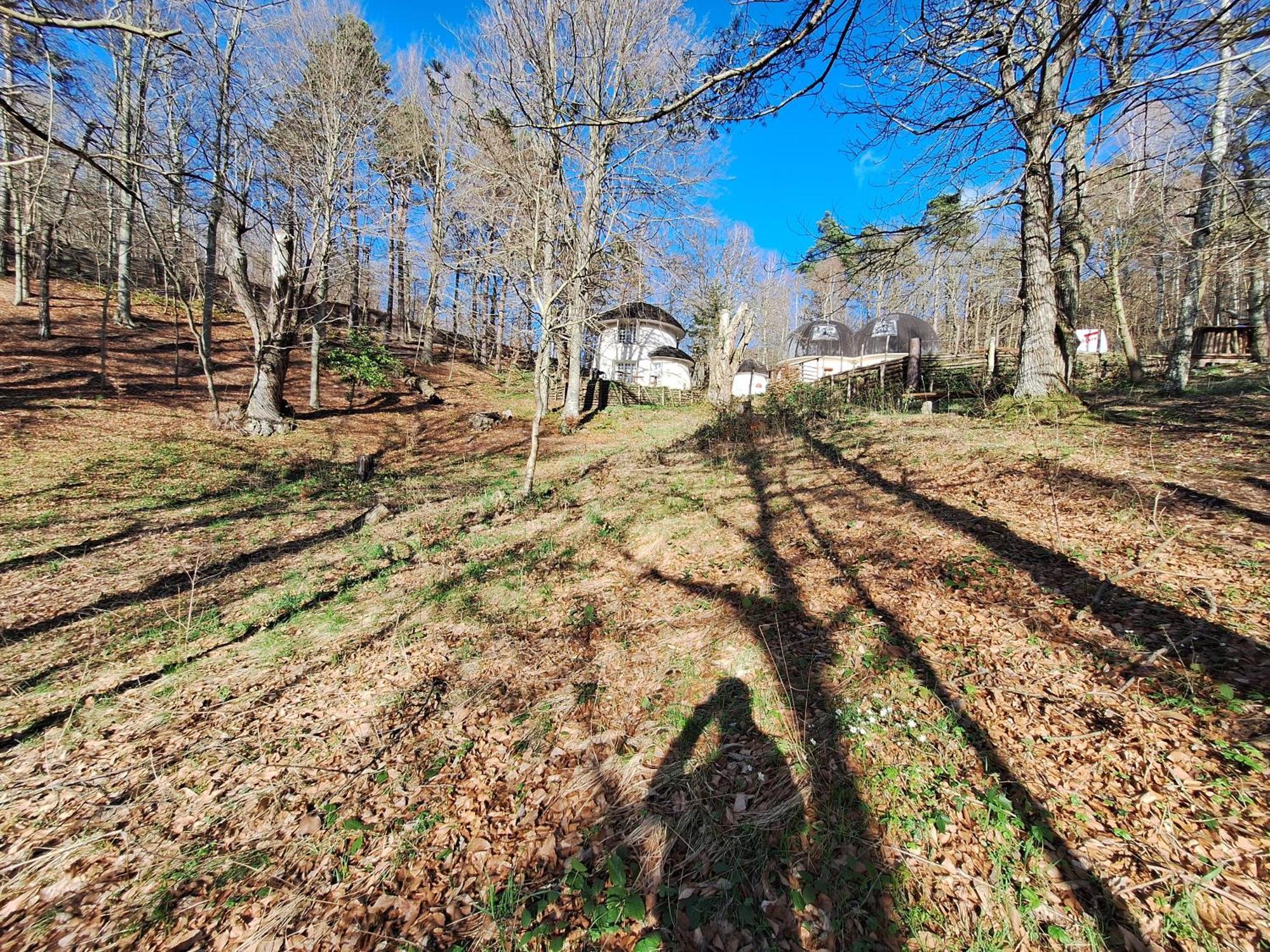 Il Villaggio Dei Puffi Bardineto Exterior foto